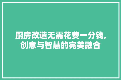 厨房改造无需花费一分钱,创意与智慧的完美融合