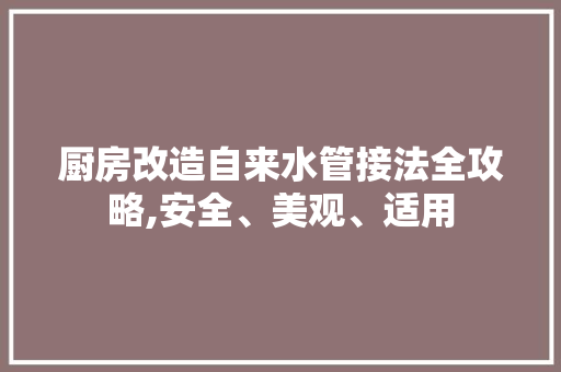 厨房改造自来水管接法全攻略,安全、美观、适用 家居装饰