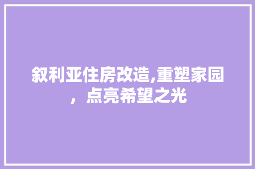 叙利亚住房改造,重塑家园，点亮希望之光