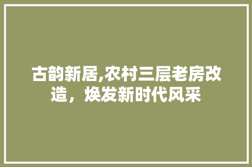 古韵新居,农村三层老房改造，焕发新时代风采