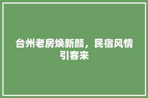 台州老房焕新颜，民宿风情引客来