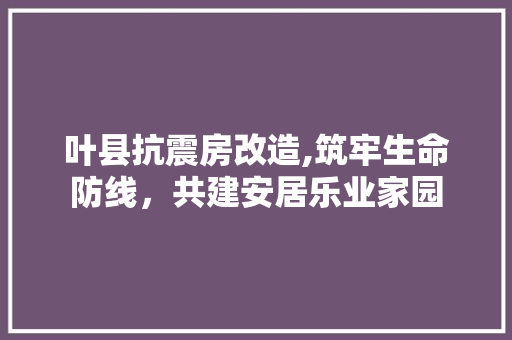 叶县抗震房改造,筑牢生命防线，共建安居乐业家园