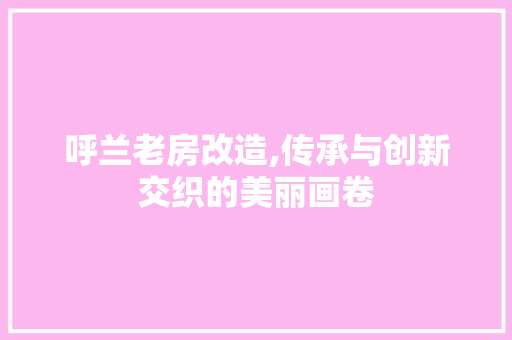 呼兰老房改造,传承与创新交织的美丽画卷 家居设计