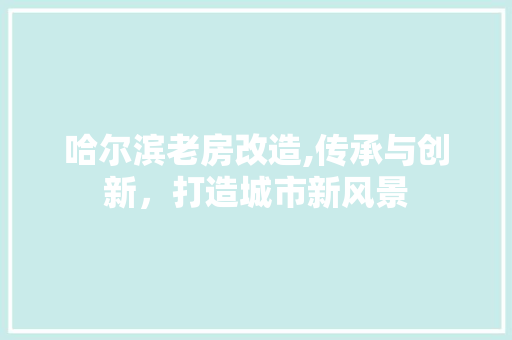 哈尔滨老房改造,传承与创新，打造城市新风景