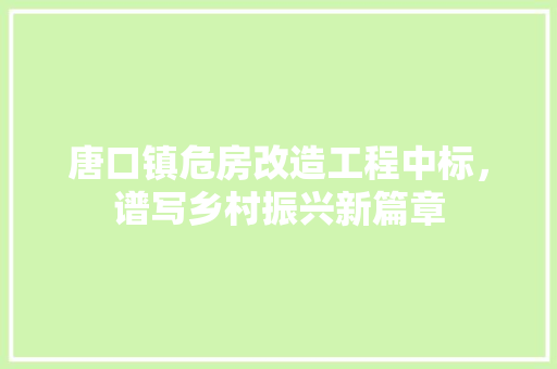 唐口镇危房改造工程中标，谱写乡村振兴新篇章