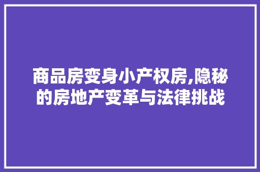 商品房变身小产权房,隐秘的房地产变革与法律挑战