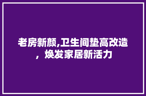 老房新颜,卫生间垫高改造，焕发家居新活力