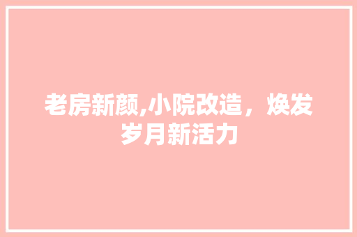 老房新颜,小院改造，焕发岁月新活力