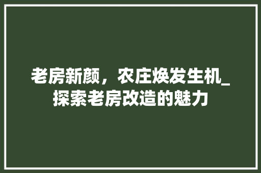 老房新颜，农庄焕发生机_探索老房改造的魅力