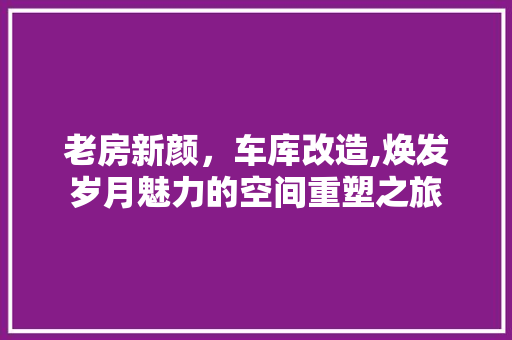 老房新颜，车库改造,焕发岁月魅力的空间重塑之旅
