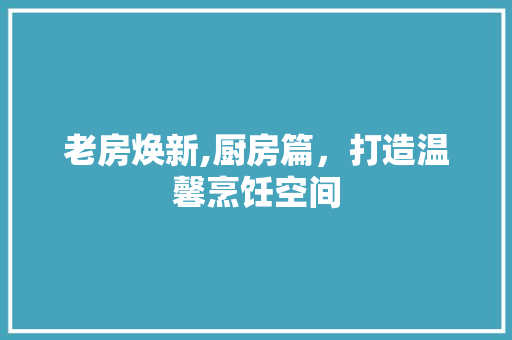 老房焕新,厨房篇，打造温馨烹饪空间 二手房