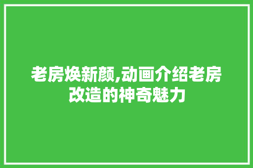 老房焕新颜,动画介绍老房改造的神奇魅力