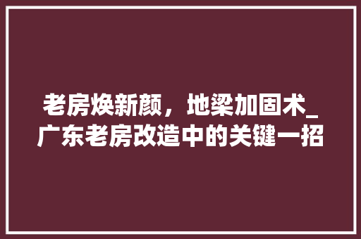 老房焕新颜，地梁加固术_广东老房改造中的关键一招