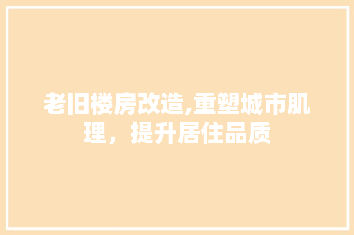 老旧楼房改造,重塑城市肌理，提升居住品质 二手房