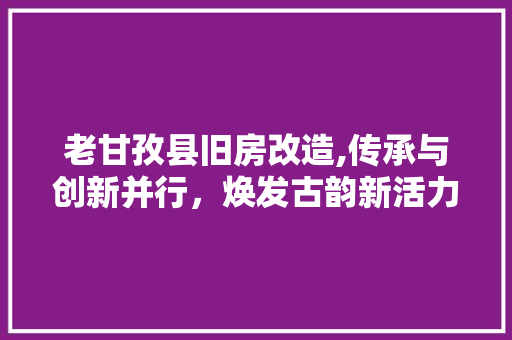 老甘孜县旧房改造,传承与创新并行，焕发古韵新活力