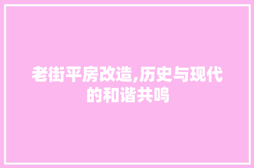 老街平房改造,历史与现代的和谐共鸣