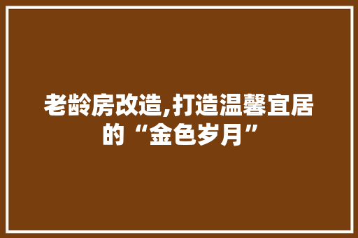 老龄房改造,打造温馨宜居的“金色岁月”