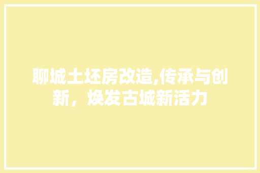 聊城土坯房改造,传承与创新，焕发古城新活力