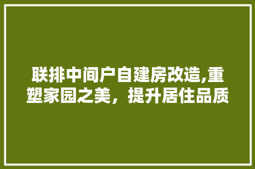 联排中间户自建房改造,重塑家园之美，提升居住品质