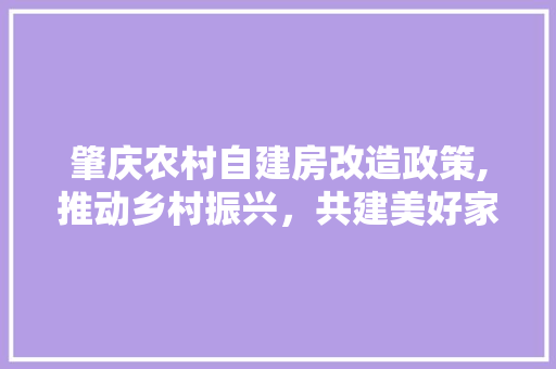 肇庆农村自建房改造政策,推动乡村振兴，共建美好家园