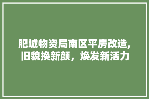 肥城物资局南区平房改造,旧貌换新颜，焕发新活力 买房须知