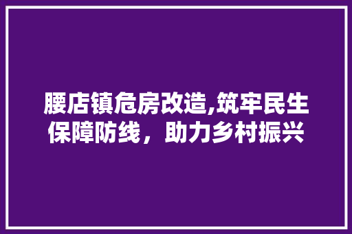 腰店镇危房改造,筑牢民生保障防线，助力乡村振兴