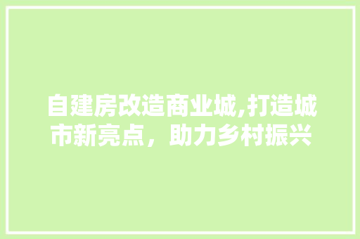 自建房改造商业城,打造城市新亮点，助力乡村振兴 装修知识
