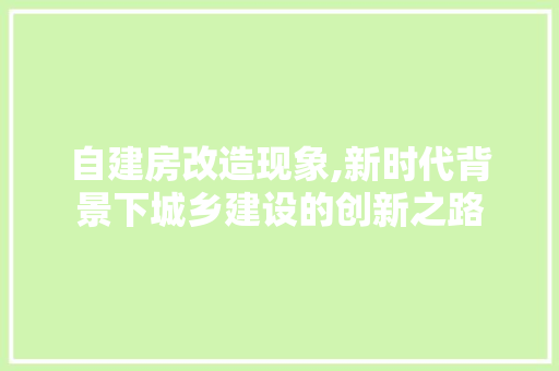 自建房改造现象,新时代背景下城乡建设的创新之路