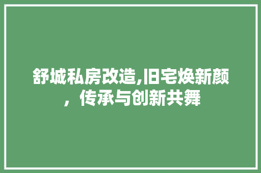 舒城私房改造,旧宅焕新颜，传承与创新共舞