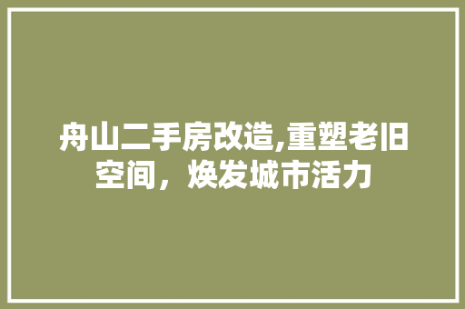 舟山二手房改造,重塑老旧空间，焕发城市活力 二手房