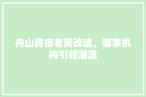 舟山民宿老房改造，哪家机构引领潮流 二手房