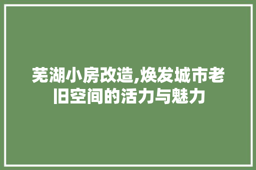 芜湖小房改造,焕发城市老旧空间的活力与魅力 装修知识