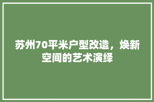 苏州70平米户型改造，焕新空间的艺术演绎