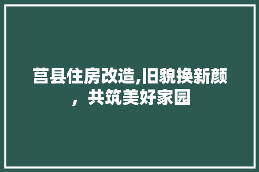 莒县住房改造,旧貌换新颜，共筑美好家园