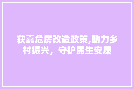 获嘉危房改造政策,助力乡村振兴，守护民生安康 家居设计