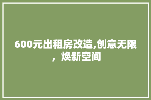 600元出租房改造,创意无限，焕新空间