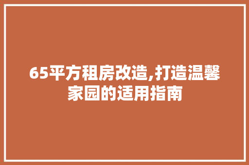 65平方租房改造,打造温馨家园的适用指南 买房须知