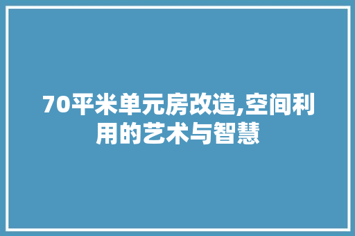 70平米单元房改造,空间利用的艺术与智慧
