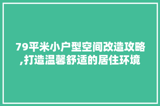 79平米小户型空间改造攻略,打造温馨舒适的居住环境 家居设计