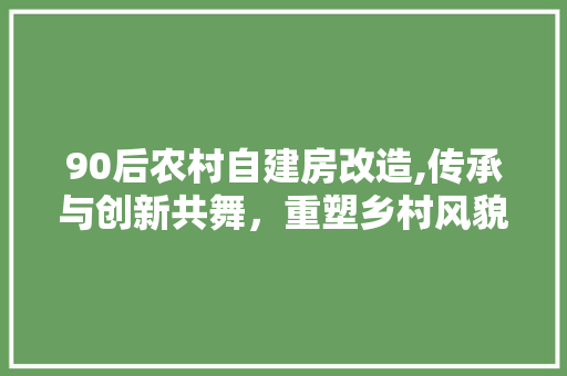 90后农村自建房改造,传承与创新共舞，重塑乡村风貌 装修知识