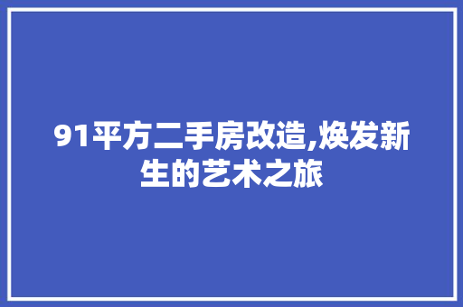 91平方二手房改造,焕发新生的艺术之旅