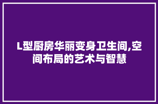 L型厨房华丽变身卫生间,空间布局的艺术与智慧