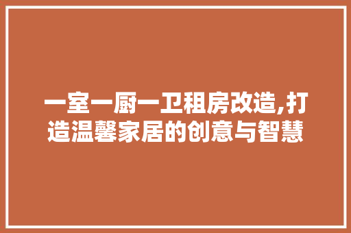 一室一厨一卫租房改造,打造温馨家居的创意与智慧