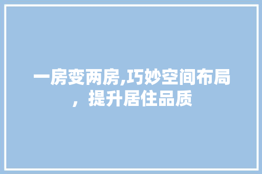 一房变两房,巧妙空间布局，提升居住品质