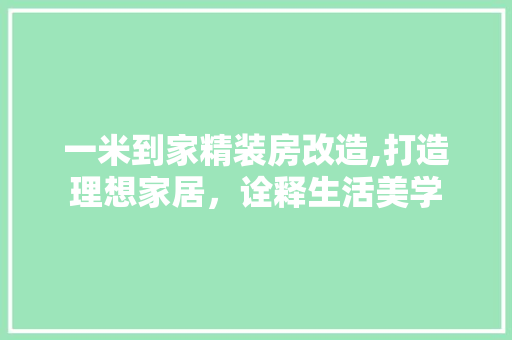 一米到家精装房改造,打造理想家居，诠释生活美学