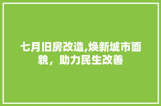 七月旧房改造,焕新城市面貌，助力民生改善