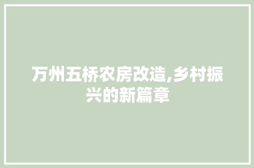 万州五桥农房改造,乡村振兴的新篇章