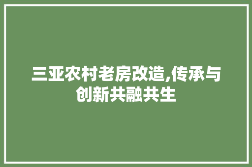 三亚农村老房改造,传承与创新共融共生