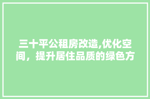三十平公租房改造,优化空间，提升居住品质的绿色方法 二手房
