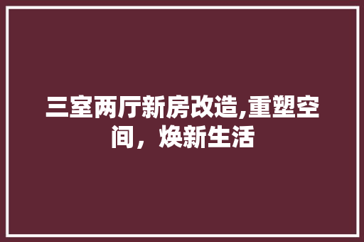 三室两厅新房改造,重塑空间，焕新生活